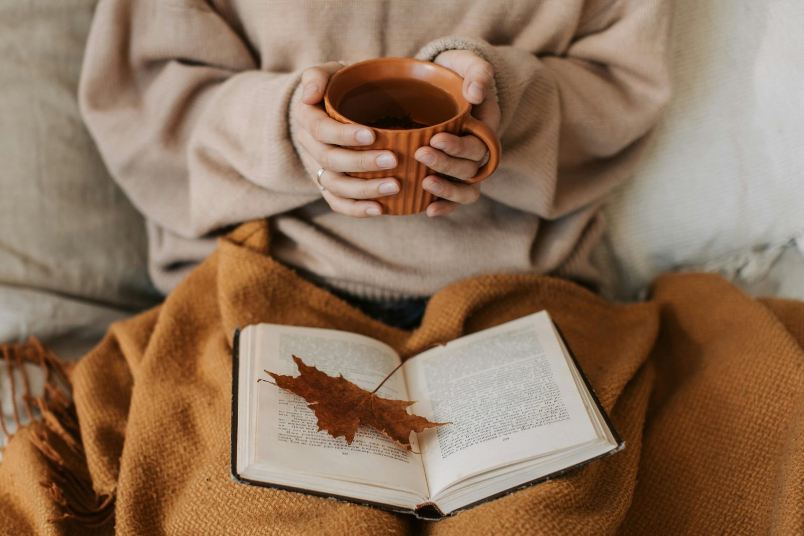 Mejores tés para antes de dormir